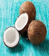 தேங்காய் / Coconut